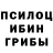 Псилоцибиновые грибы прущие грибы Karlos Mendozzo