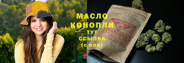 ГАЛЛЮЦИНОГЕННЫЕ ГРИБЫ Инта