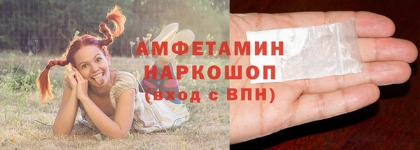 стафф Иннополис