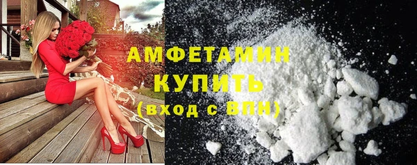 ГАЛЛЮЦИНОГЕННЫЕ ГРИБЫ Инта