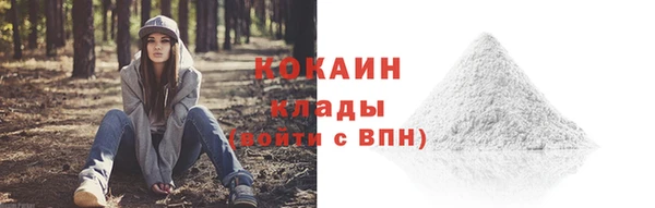 стафф Иннополис