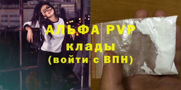 ГАЛЛЮЦИНОГЕННЫЕ ГРИБЫ Инта