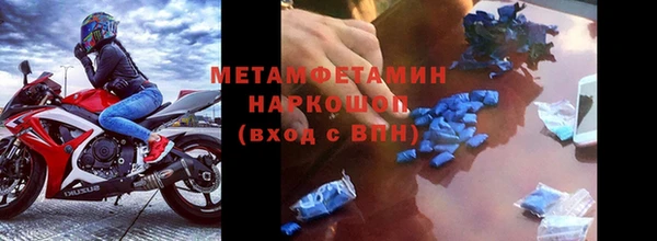 ГАЛЛЮЦИНОГЕННЫЕ ГРИБЫ Инта
